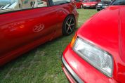 DSC_8916.jpg