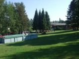 DSCF0649.jpg