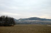 DSC_4722.JPG