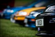 IMG_5342.jpg