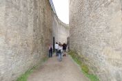DSC-0040.jpg