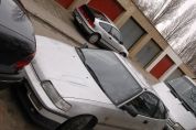 DSC_4673.JPG