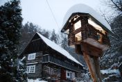 DSC_3512.JPG