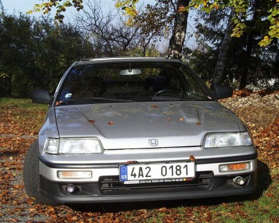 stříbřenka - 10.jpg