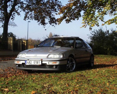 stříbřenka - 11.jpg