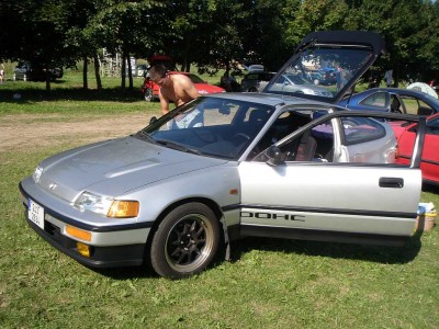 Jofreyho leštěnka.jpg