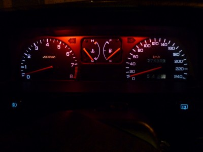 P1010604 (Large).JPG