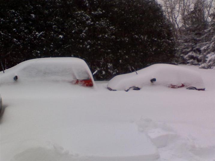 EFs in the snow 1.jpg