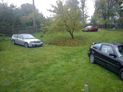 u Petky na zahradě.jpg