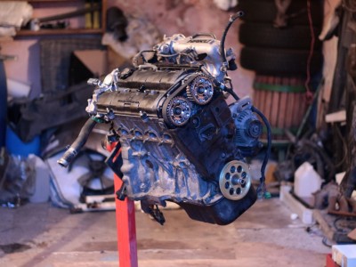 IMG_0021 (Large).jpg