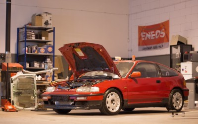 IMG_5155 (Large).jpg