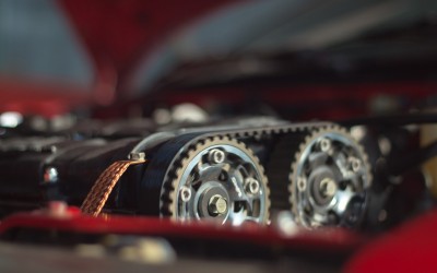 IMG_5078 (Large).jpg