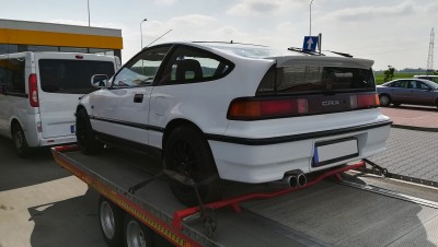 crx_02.jpg
