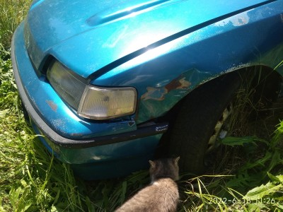 crx modré aukro - 007.jpg