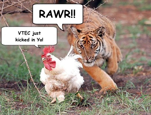 vtec-just-kicked-in-yo.jpg