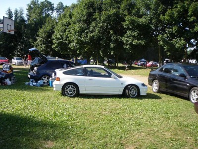 Murphyho krasavice.jpg