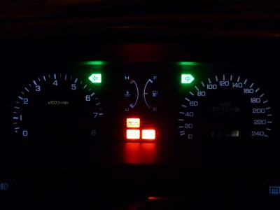 P1010633 (Large).JPG