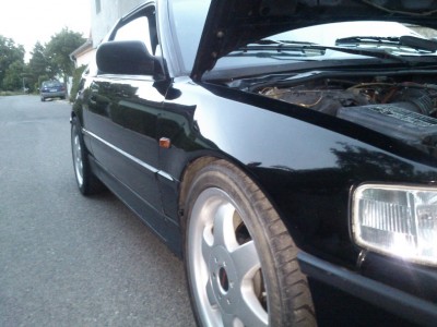 rozlestenej blatnik.JPG